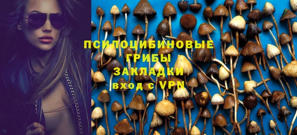 дживик Баксан