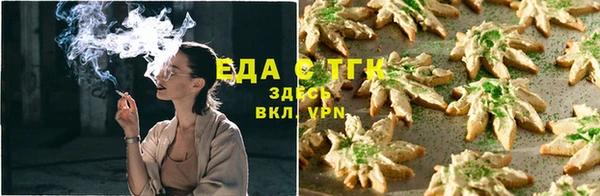 индика Вязники