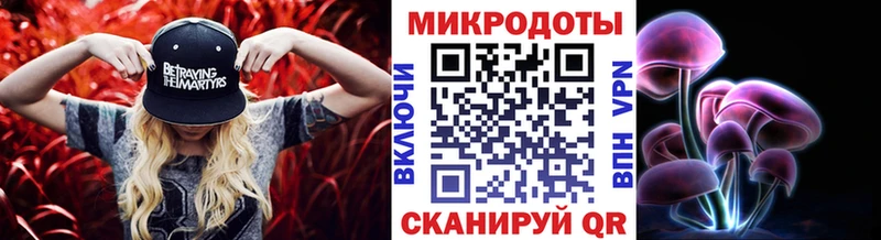 дарнет шоп  Камень-на-Оби  Псилоцибиновые грибы Magic Shrooms 